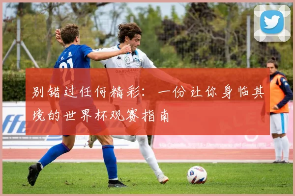 别错过任何精彩：一份让你身临其境的世界杯观赛指南